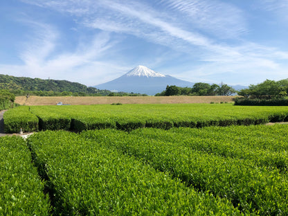 有機抹茶 「富士の翠」 30g